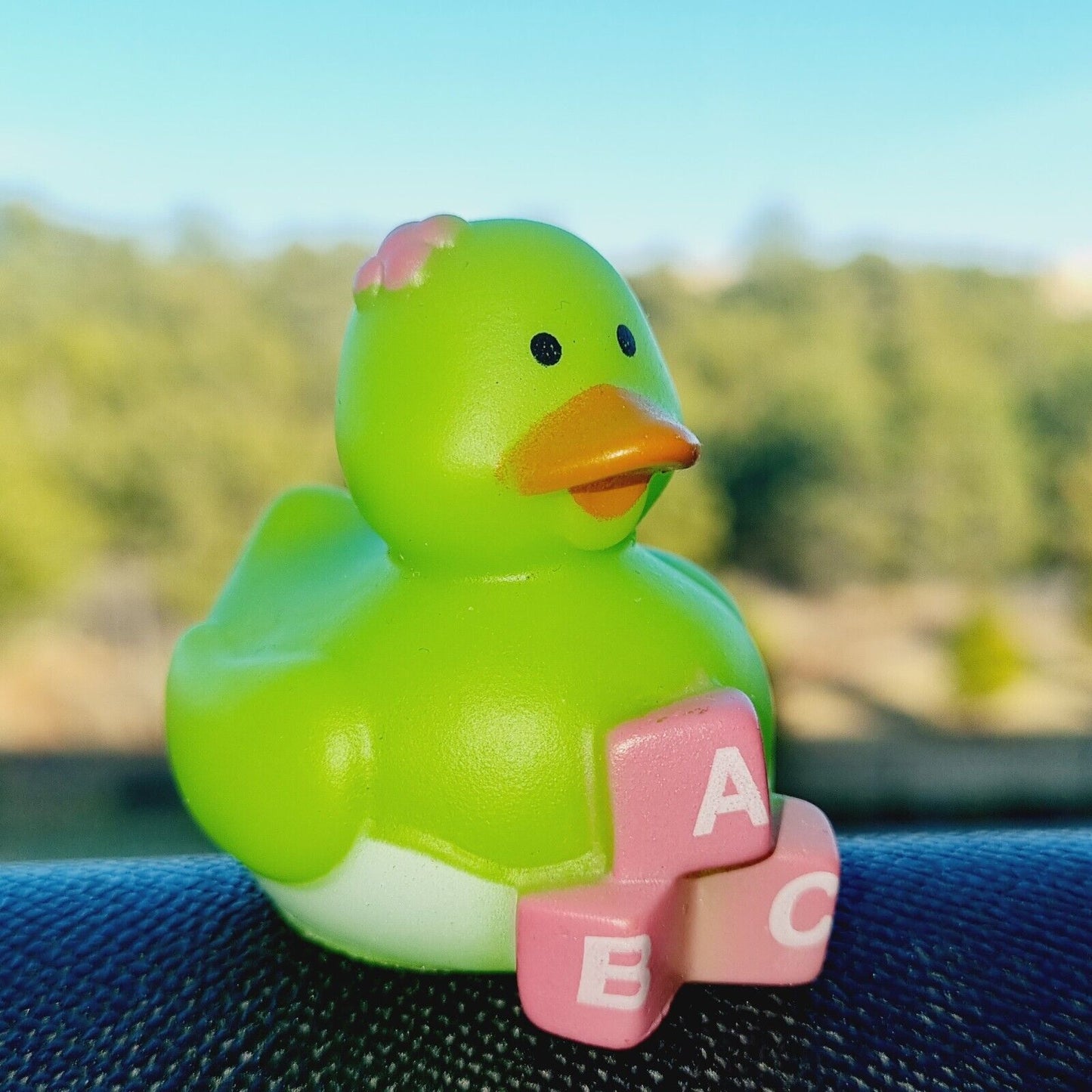 ๐ถ๐ฆ Baby ABC Rubber Duck for Jeep Ducking ๐ป Unique Jeep Wrangler Accessory