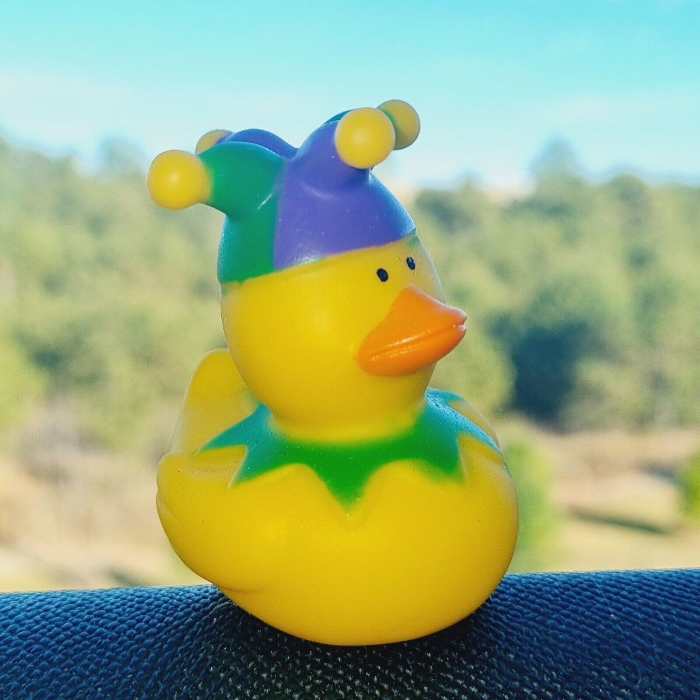 Jester Rubber Duck