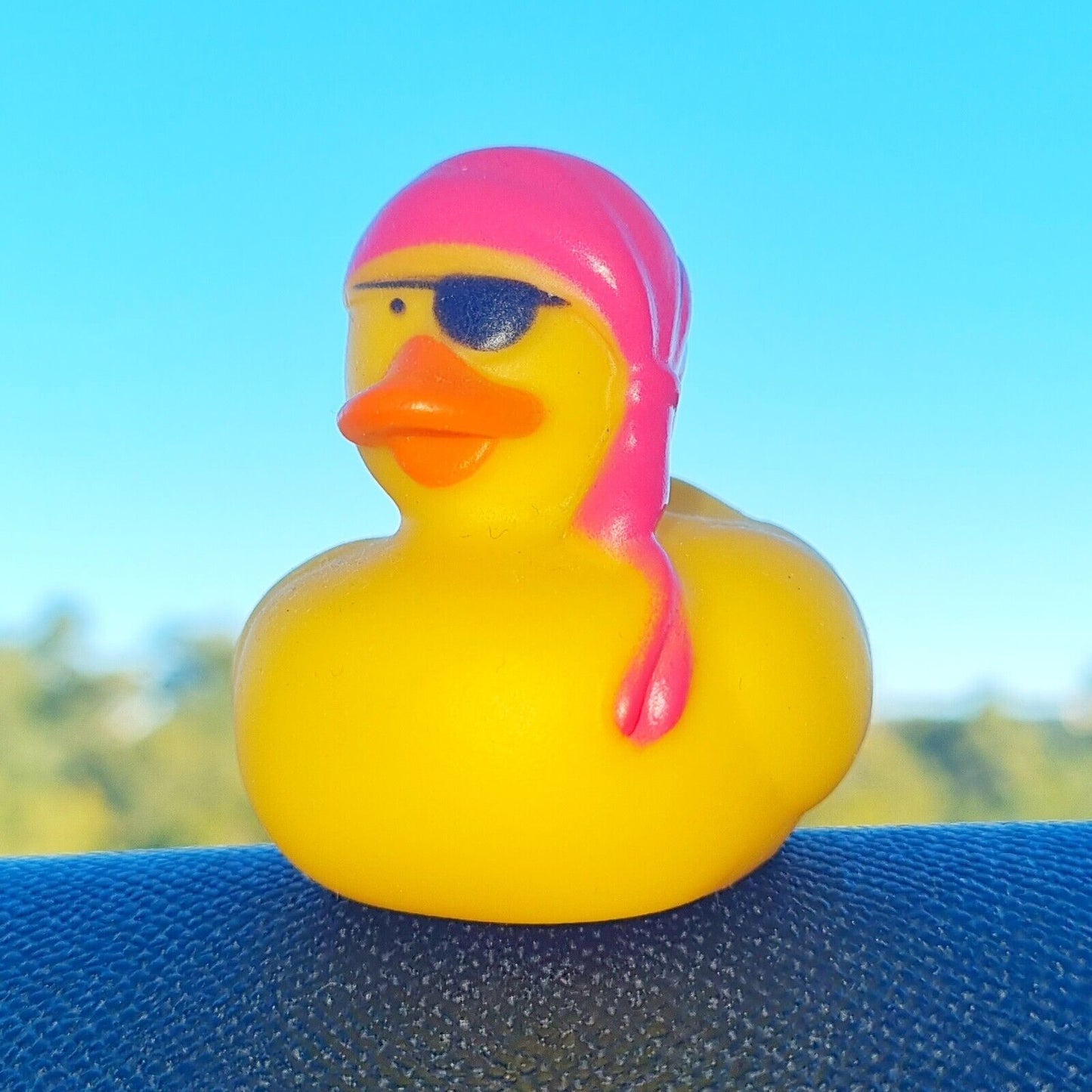 π‘π₯ Pirate Rubber Duck Jeep Ducking π» Cute Jeep Wrangler Accessory