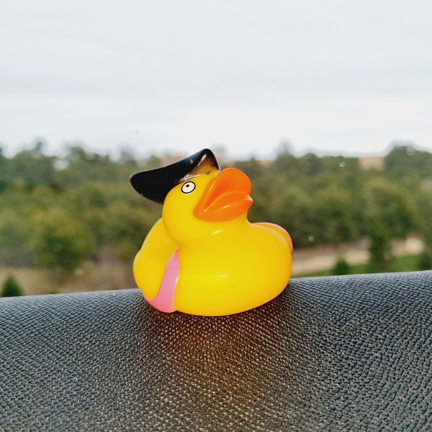 Classic Pirate Rubber Duck / Car accessory / Dashboard Decoration / Jeep Ducking