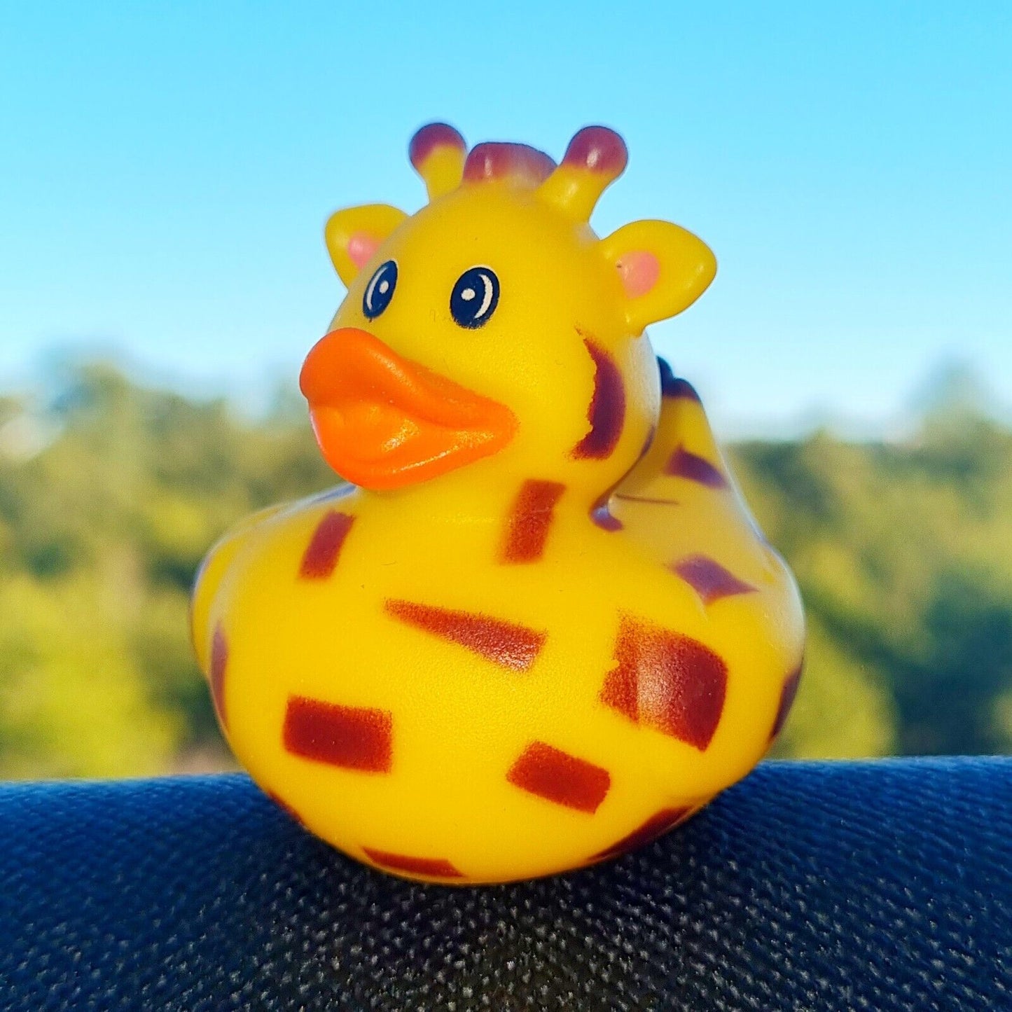 π¦π₯ Giraffe Rubber Duck Jeep Ducking π» Fun Jeep Wrangler Accessory