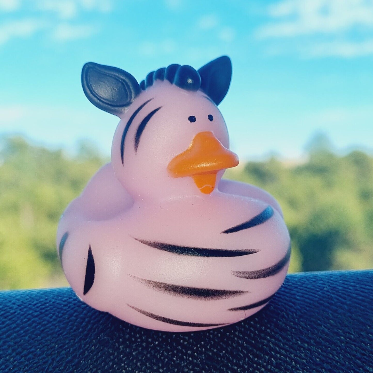 Pink Zebra Rubber Duck