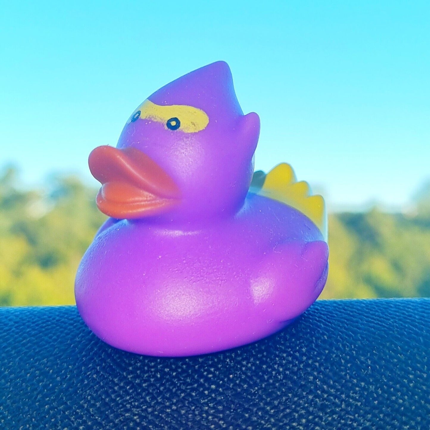 ππ₯· Purple Ninja Rubber Duck Jeep Ducking π» Cute Jeep Wrangler Accessory