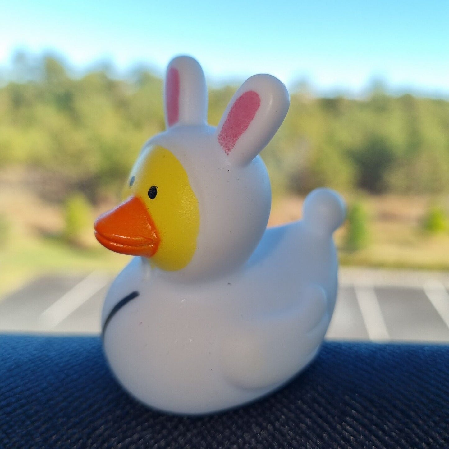 π°π¦ Bunny Rabbit Rubber Duck for Jeep Ducking π» Fun Jeep Wrangler Accessory