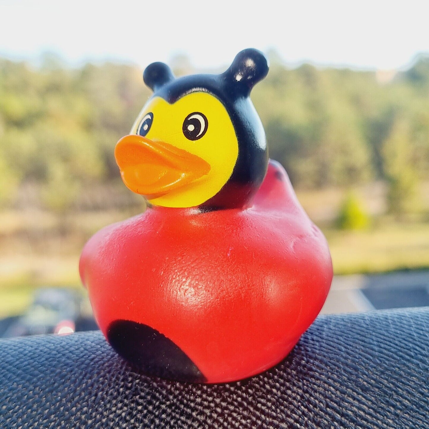 ππ₯ Ladybug Rubber Duck for Jeep Ducking π» Fun Jeep Wrangler Accessory