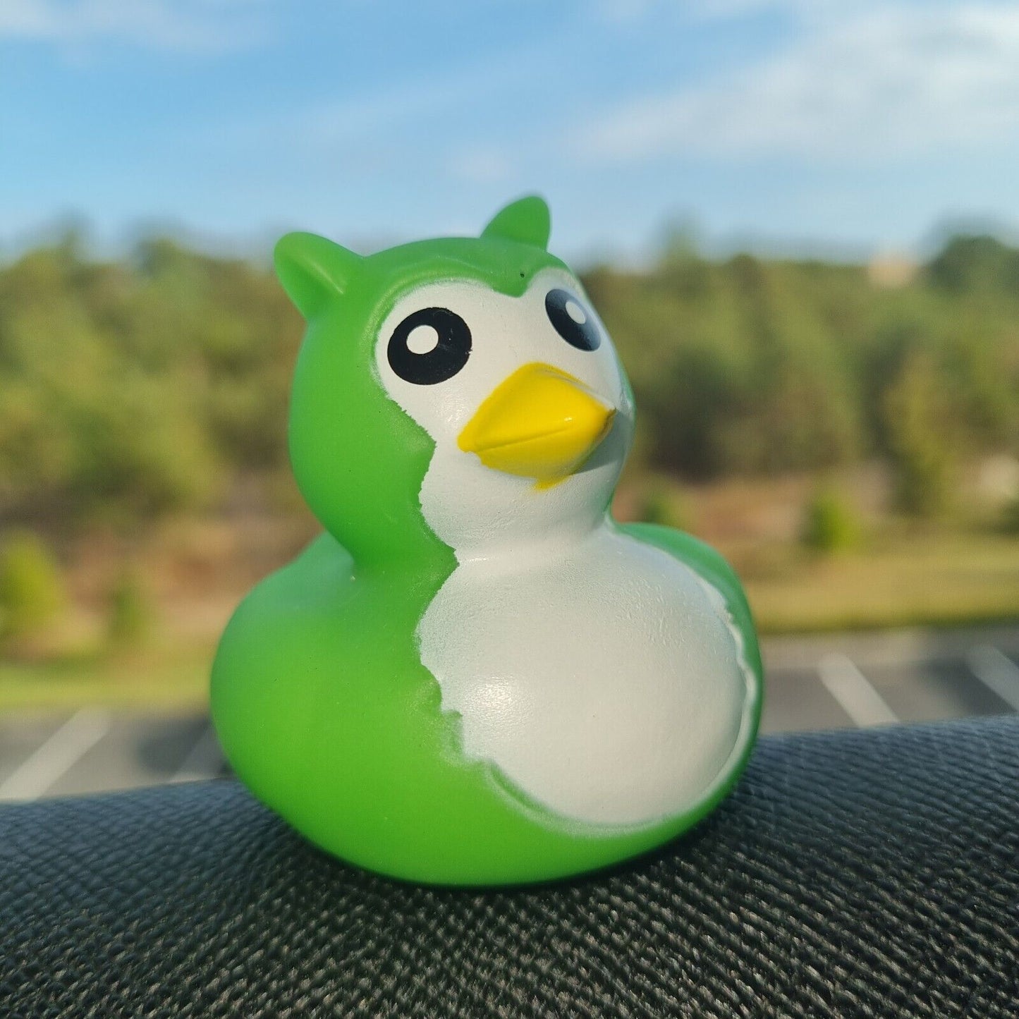 π¦π¦ Owl Green Rubber Duck for Jeep Ducking π’ π» Fun Jeep Wrangler Accessory