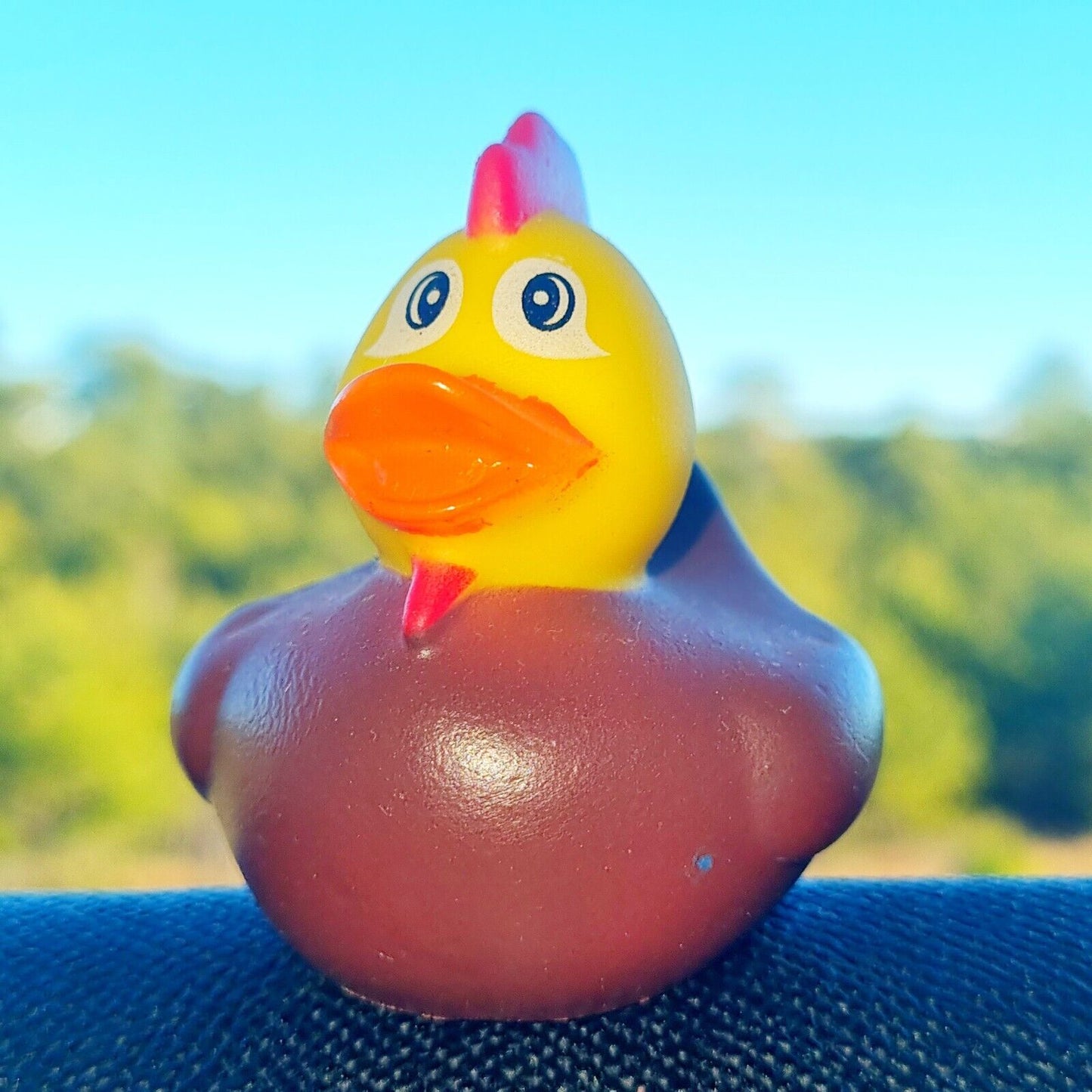 ππ₯ Rooster Rubber Duck Jeep Ducking π» Cute Jeep Wrangler Accessory