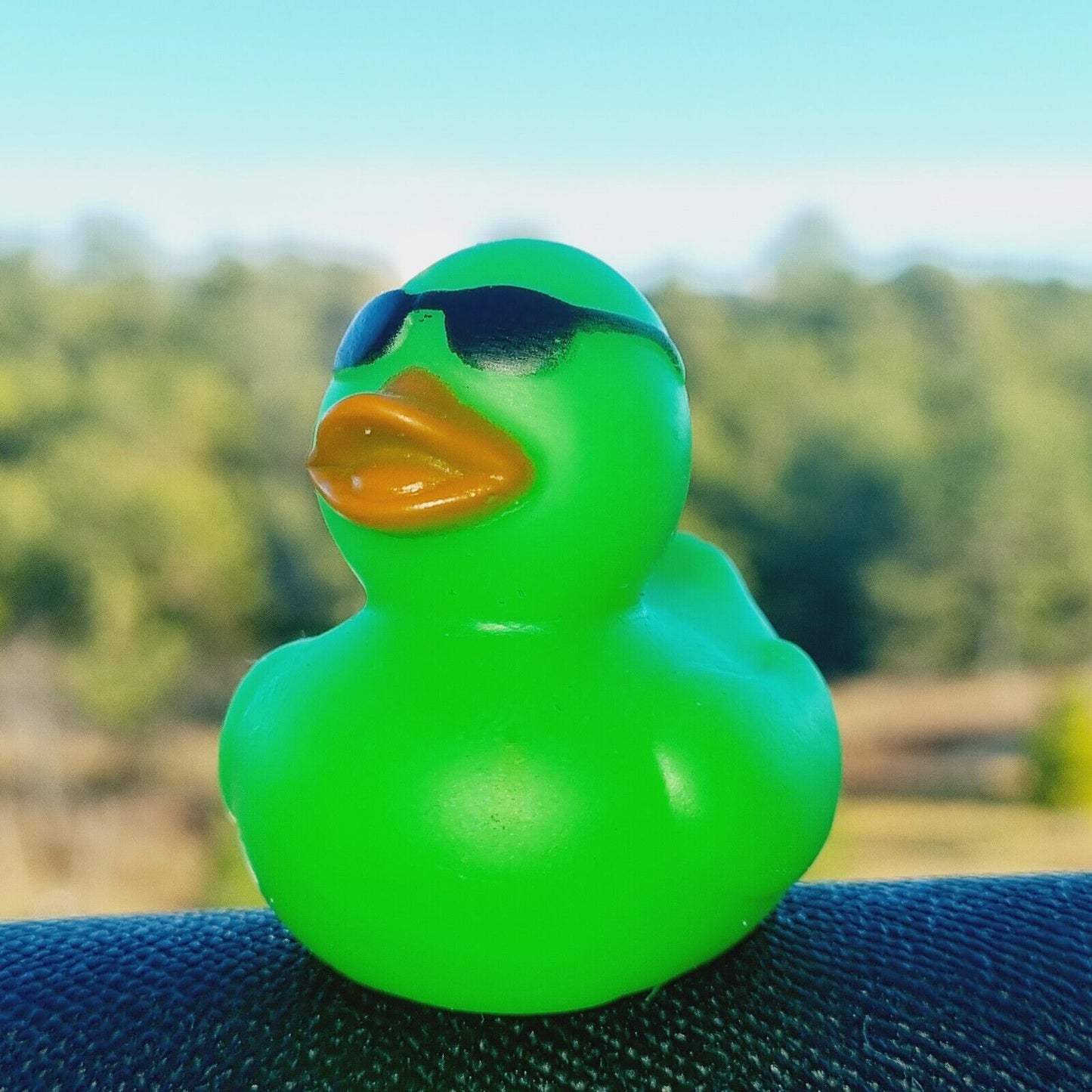 ππ¦ Green Rubber Duck with Sunglasses for Jeep Ducking π» Fun Jeep Wrangler