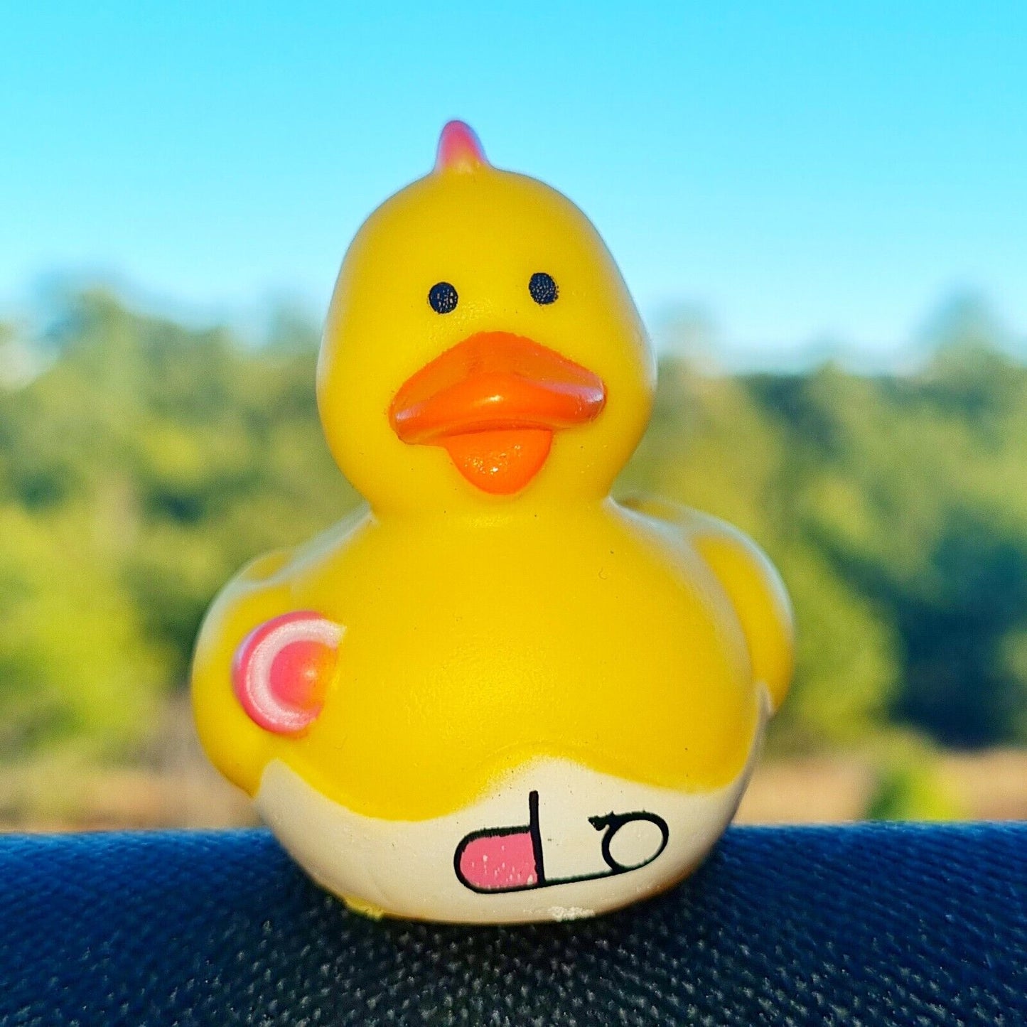 π£πΆ Baby Chicken Rubber Duck Jeep Ducking π» Cute Jeep Wrangler Accessory