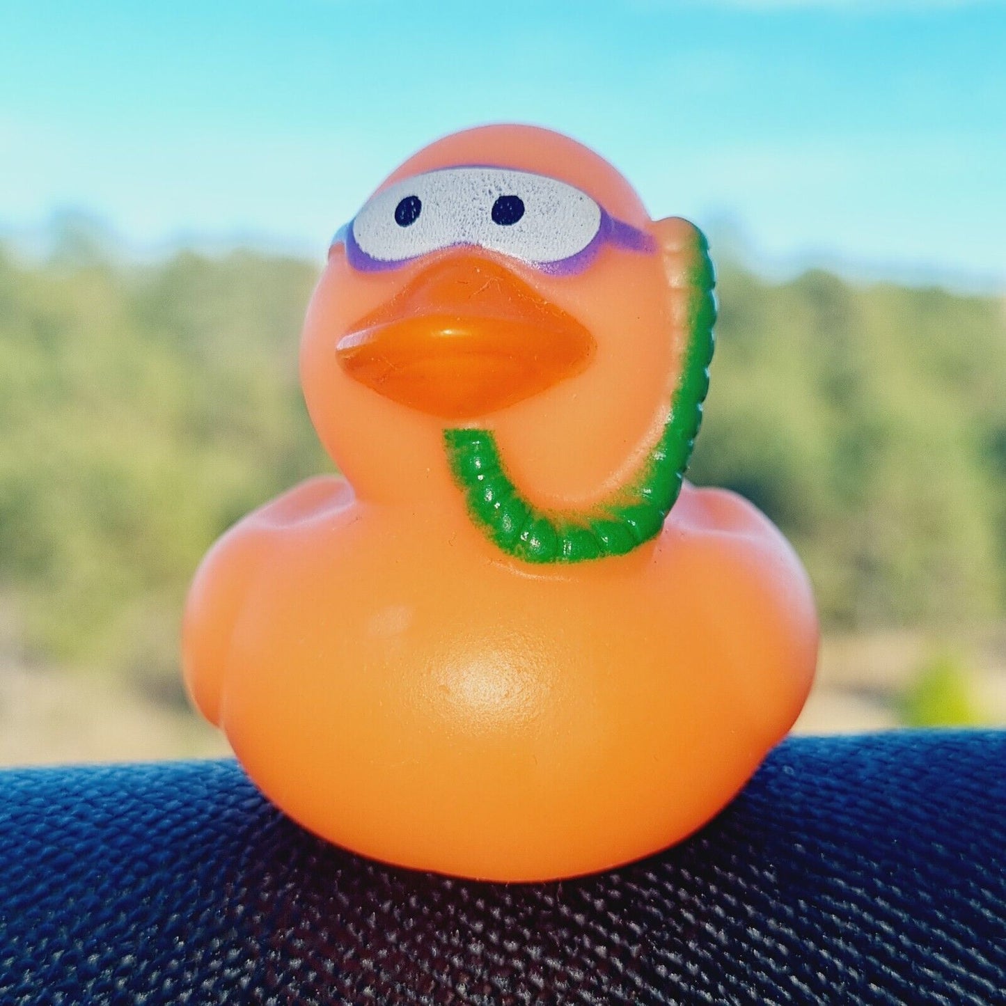 Snorkeling Rubber Duck