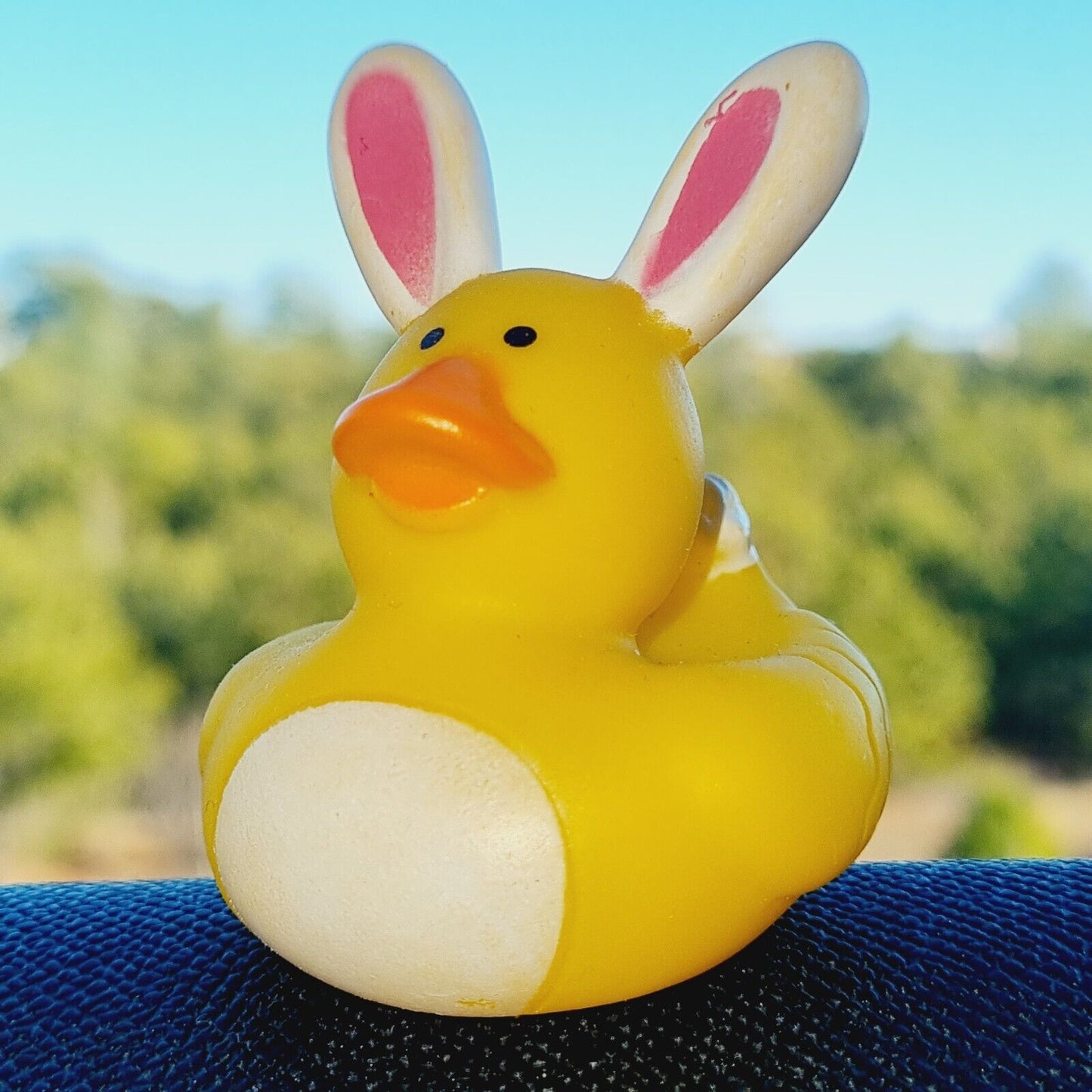 π°π₯ Bunny Rabbit Rubber Duck for Jeep Ducking π» Fun Jeep Wrangler Accessory"
