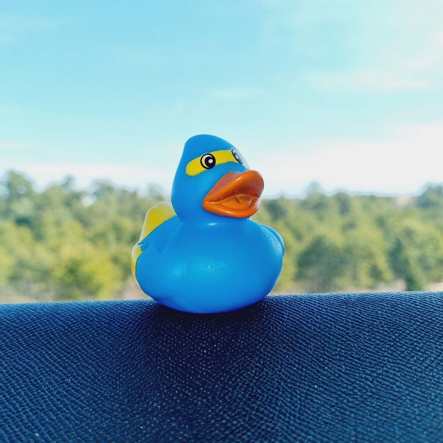 Blue Ninja Rubber Duck / Car accessory / Dashboard Toy Decoration / Jeep Ducking