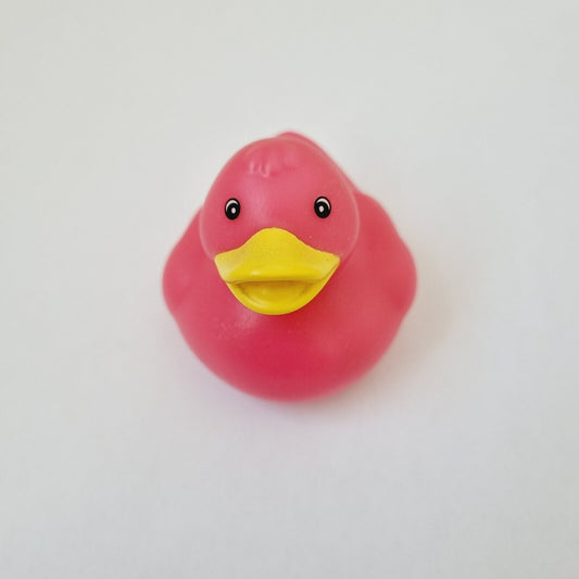 Pink Rubber Duck / Car accessory / Toys / Jeep Ducking