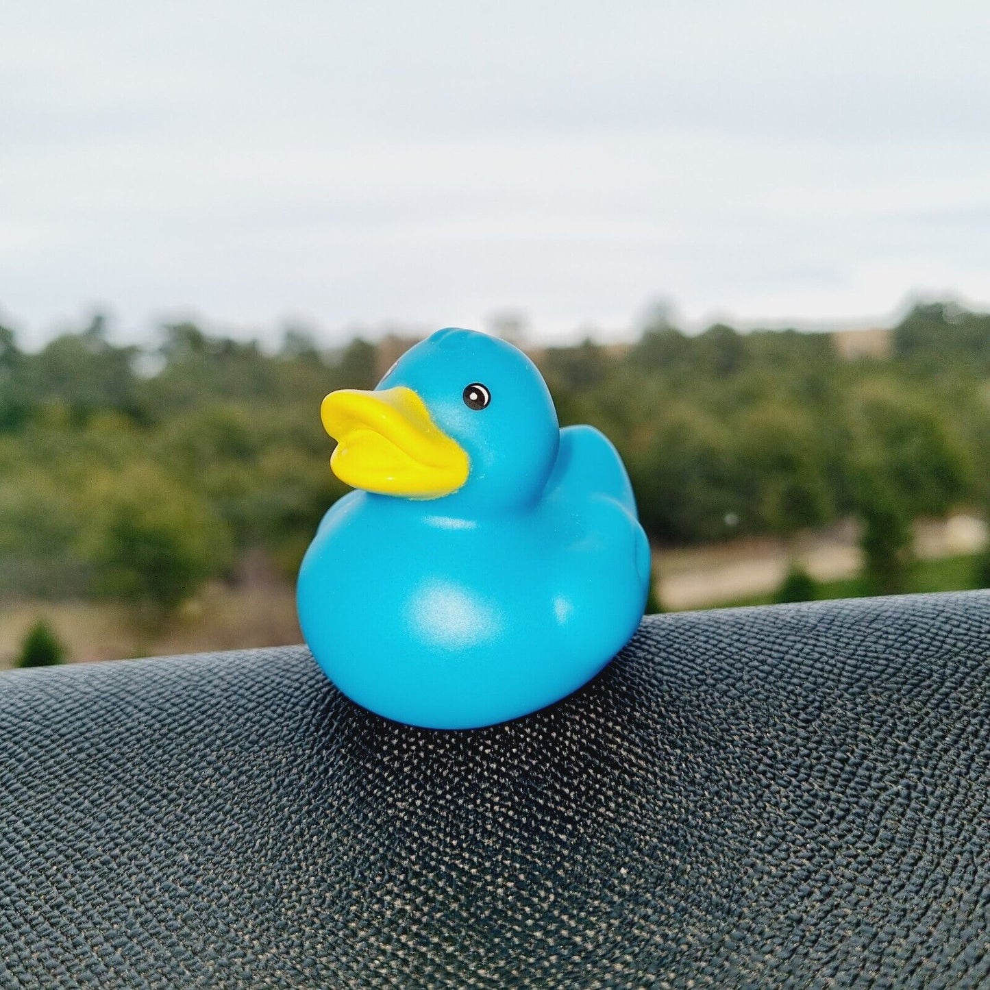 Classic Blue Rubber Duck / Car accessory / Dashboard Decoration / Jeep Ducking