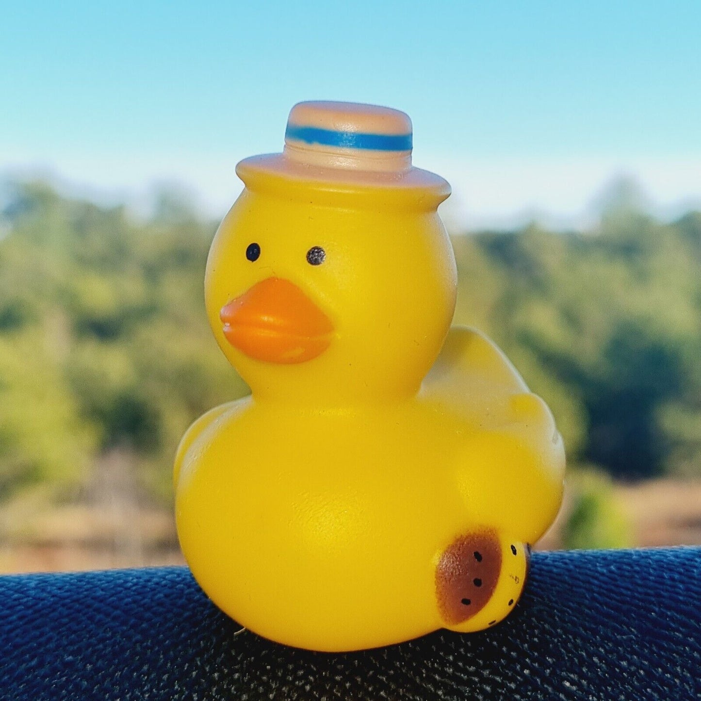 π€ π¦ Hat Rubber Duck for Jeep Ducking π» Fun Jeep Wrangler Accessory