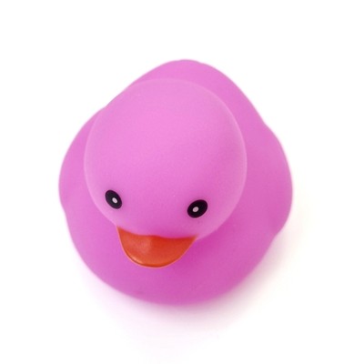 π₯π£ Bright Purple Rubber Duck Jeep Ducking π» Jeep Wrangler Accessory