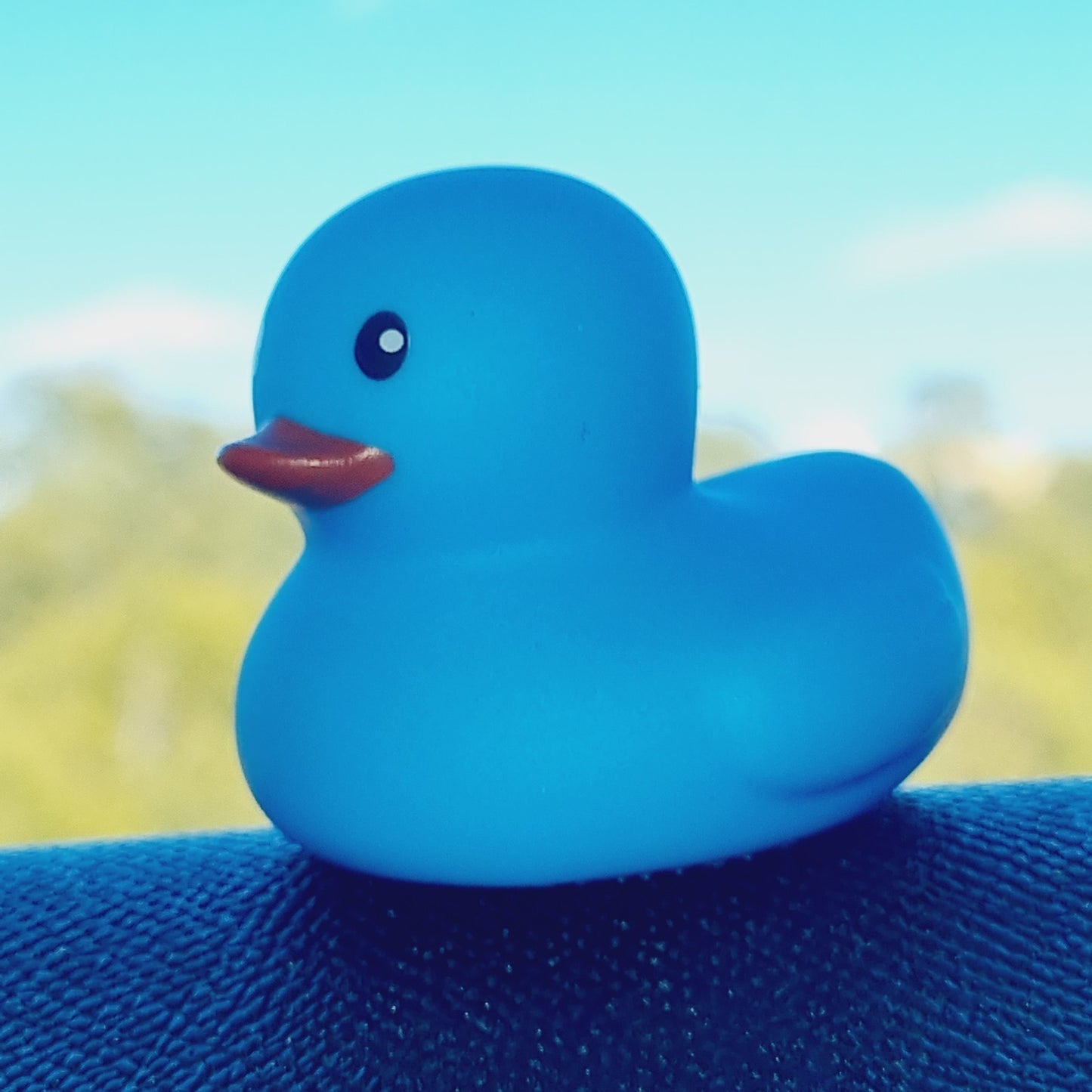 ππ¦ Blue Baby Mini Rubber Duck Jeep Ducking π» Jeep Wrangler Accessory