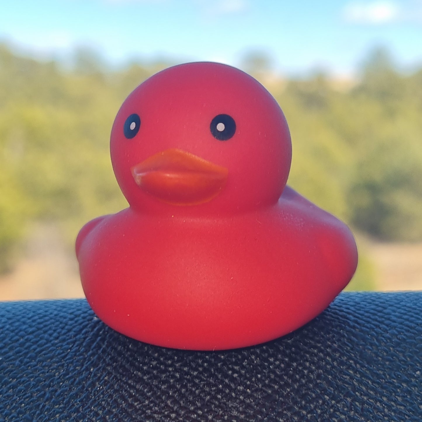 π΄π₯ Red Baby Mini Rubber Duck Jeep Ducking π» Jeep Wrangler Accessory