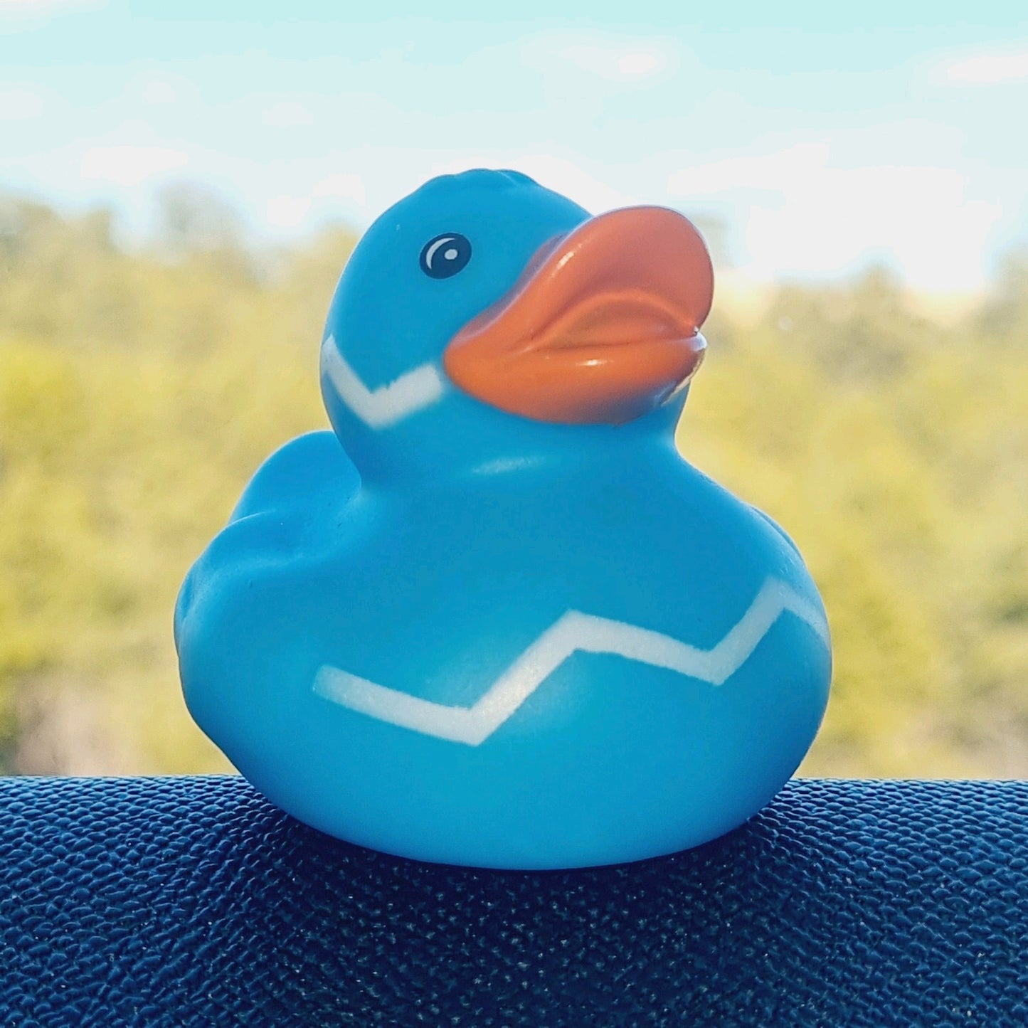 β‘π¦ Zig Zag Rubber Duck Jeep Ducking π» Cute Jeep Wrangler Accessory