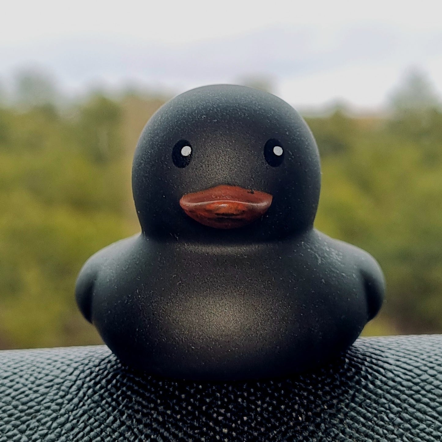 ⚫️🦆Black Baby Mini Rubber Duck Jeep Ducking 🛻 Jeep Wrangler Accessory