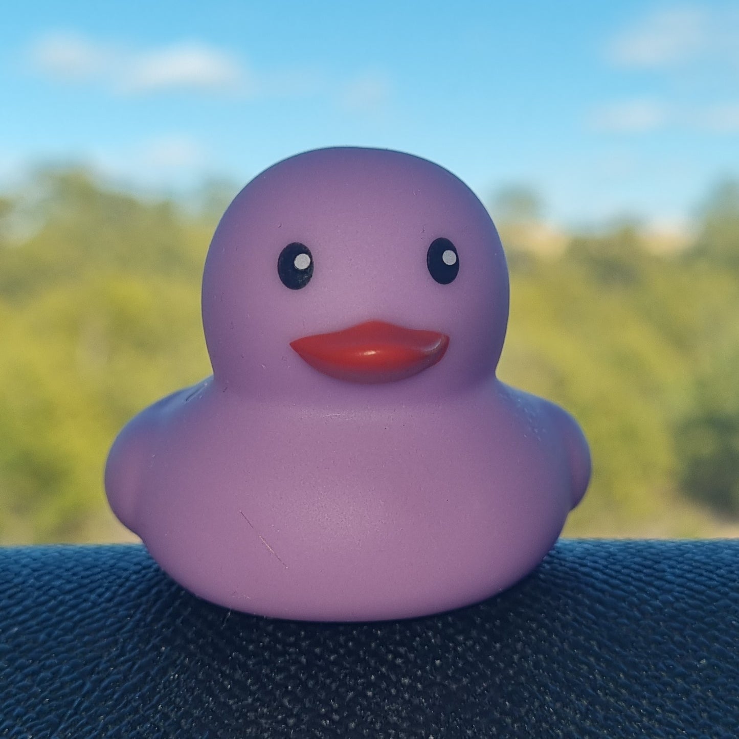 π£π₯ Lavender Baby Rubber Duck Jeep Ducking π» Jeep Wrangler Accessory
