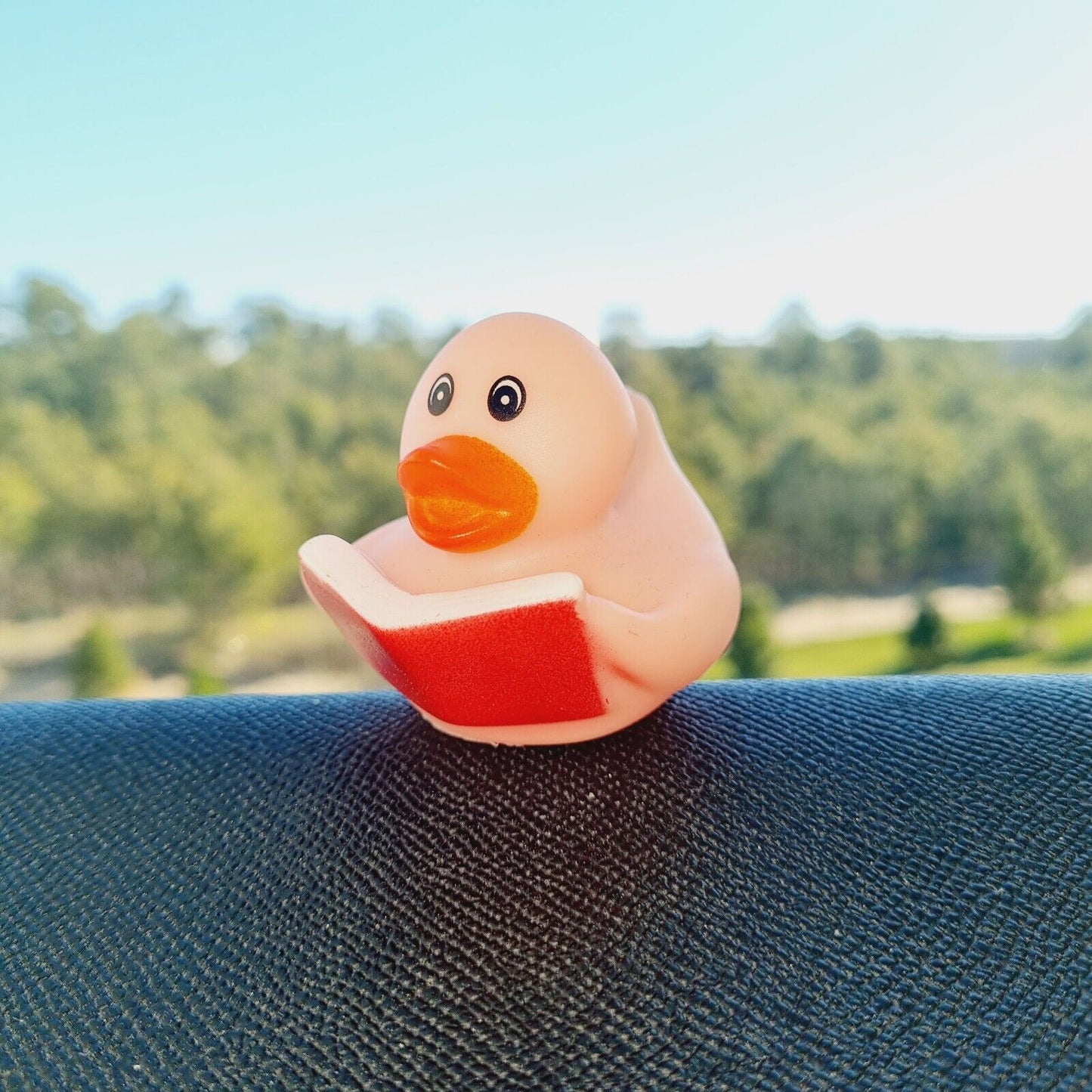 Pink Rubber Duck with Red Book / Car accessory / Dashboard Toy / Jeep Ducking