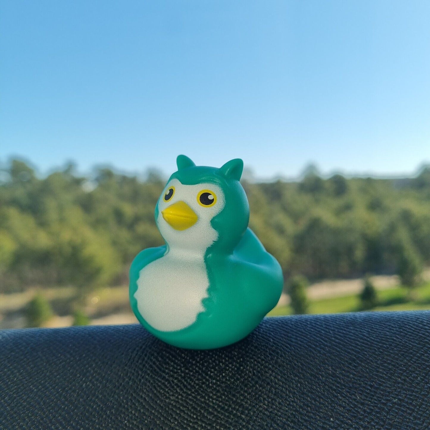 Green Owl Rubber Duck / Car accessory / Dashboard Toy Decoration / Jeep Ducking