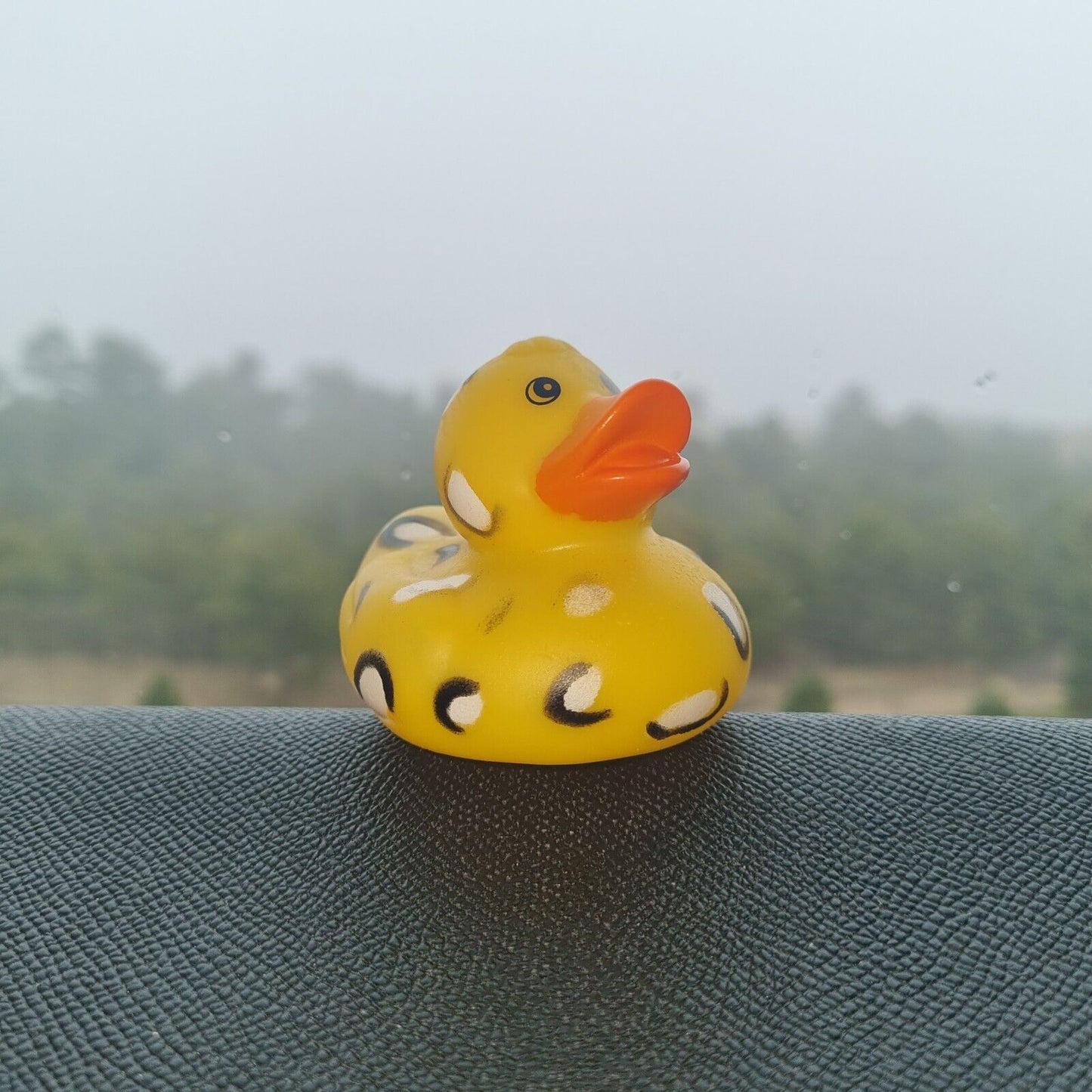 Leopard Rubber Duck