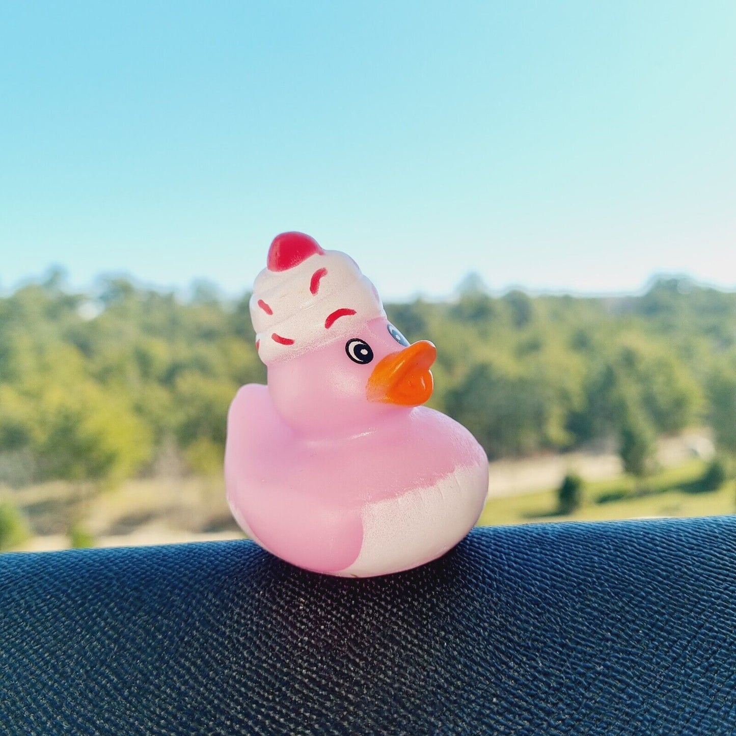 Ice Cream Rubber Duck / Car accessory / Toy dashboard decoration
