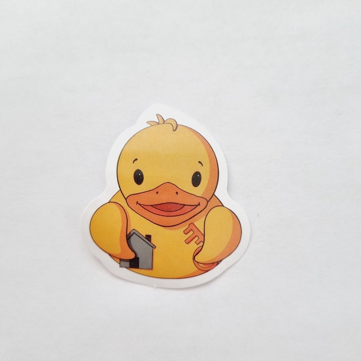 Duck Stickers / USA Duck / Aviator / With the Key to the House/ Set of 3