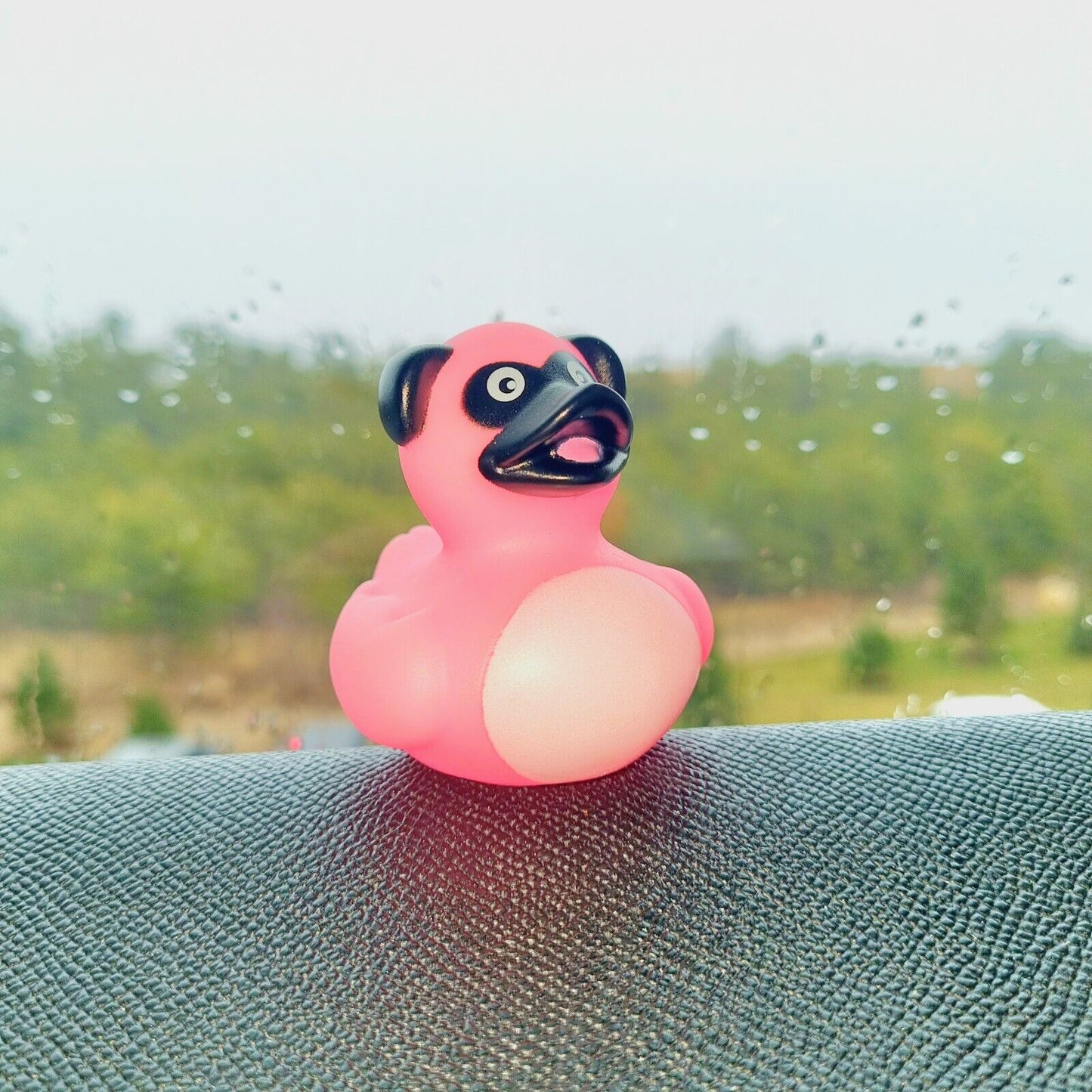 Dog Rubber Duck / Car accessory / Toy dashboard decoration