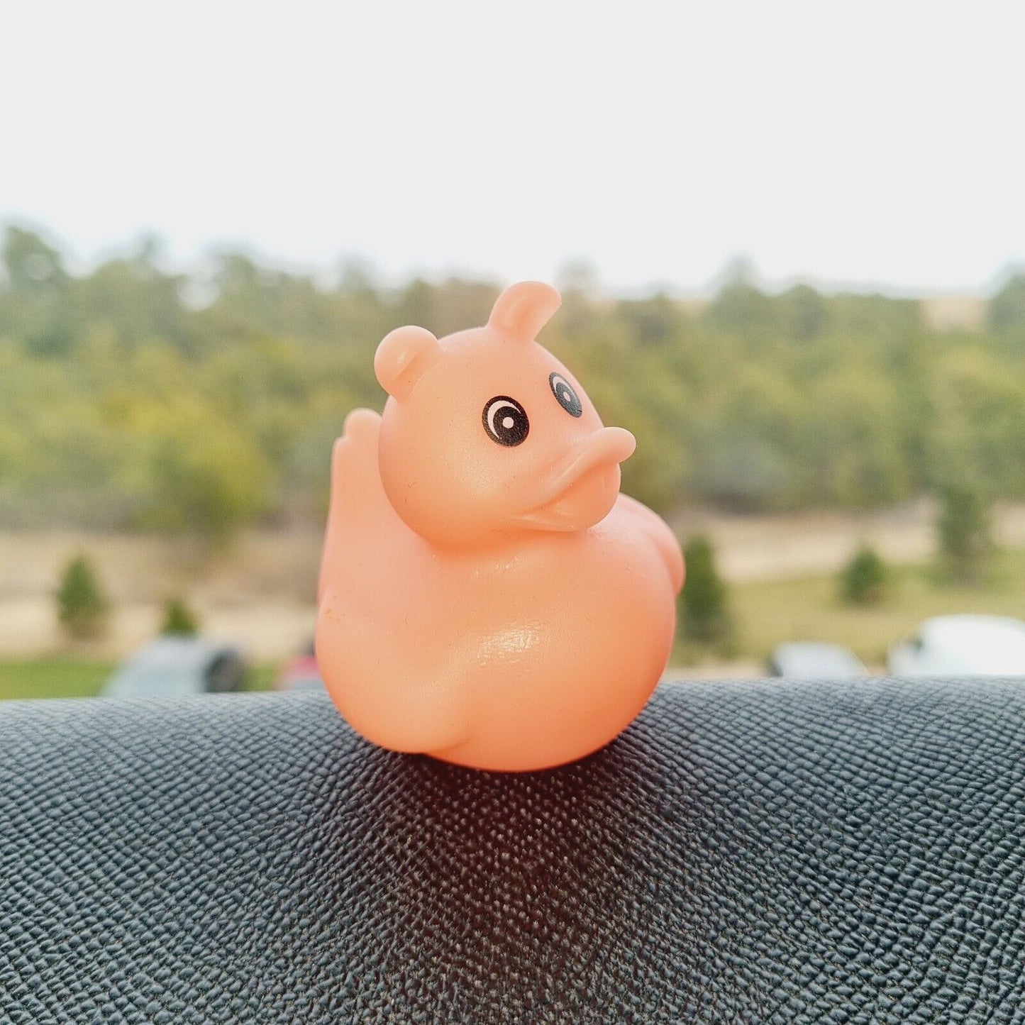Pig Rubber Duck / Car accessory / Dashboard Toy Decoration / Jeep Ducking