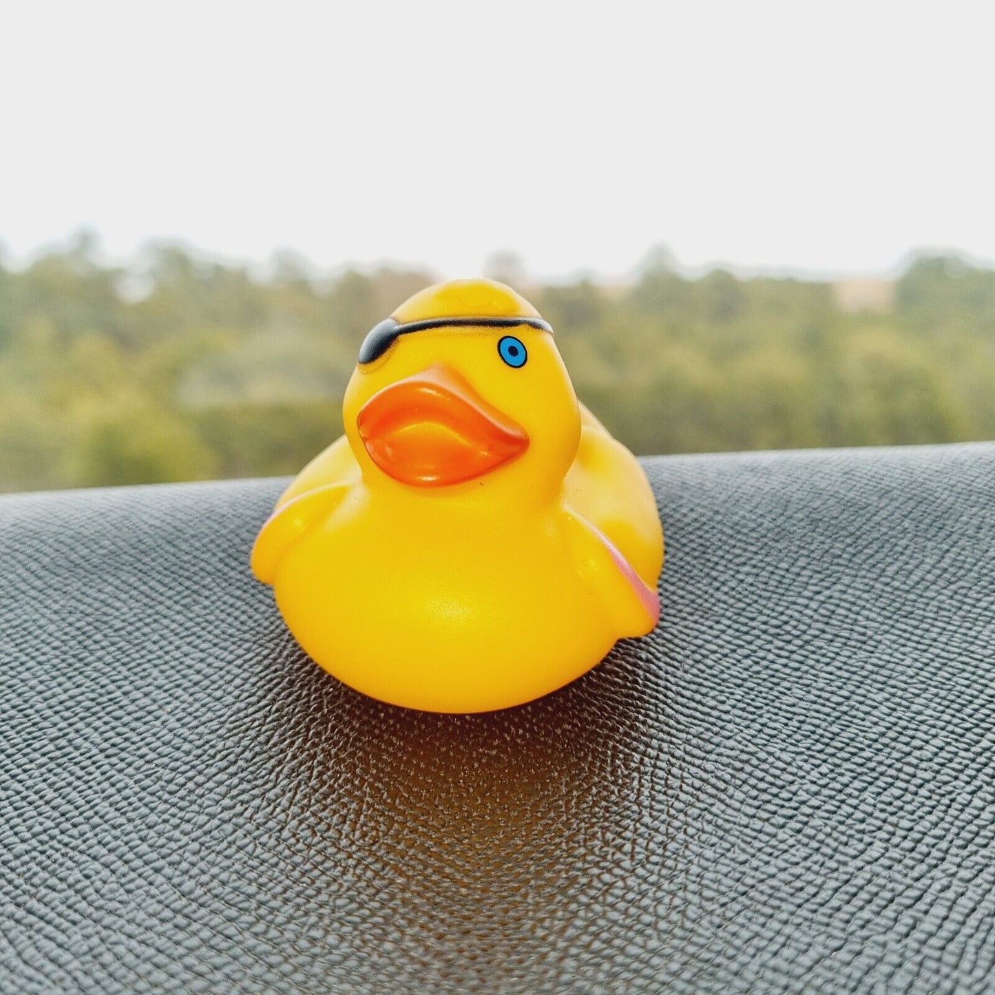 Pirate Rubber Duck / Car accessory / Dashboard Toy Decoration / Jeep Ducking