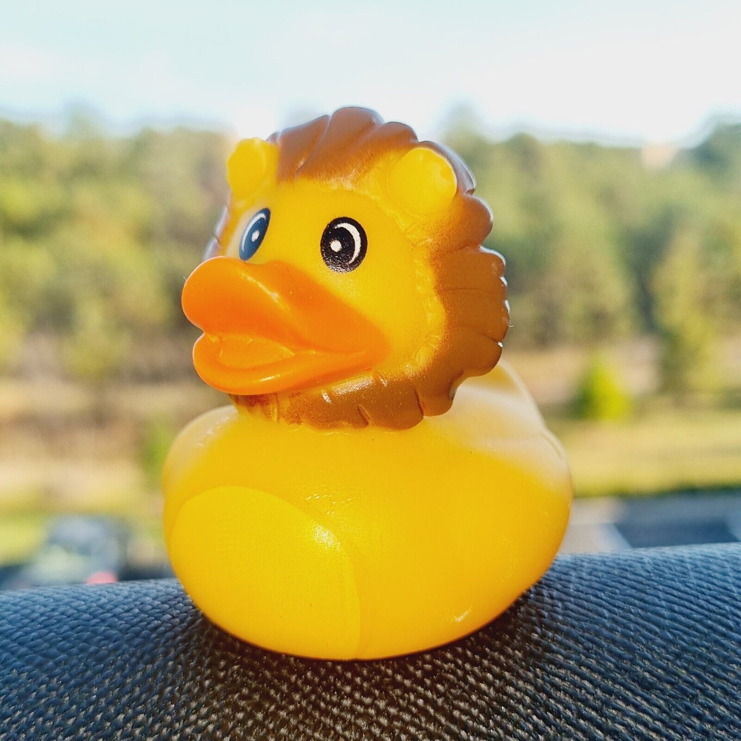 🦁🐥 Lion Rubber Duck for Jeep Ducking 🛻 Fun Jeep Wrangler Accessory