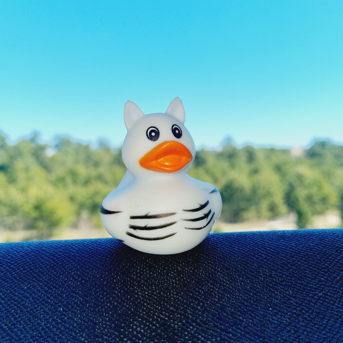 Zebra Rubber Duck