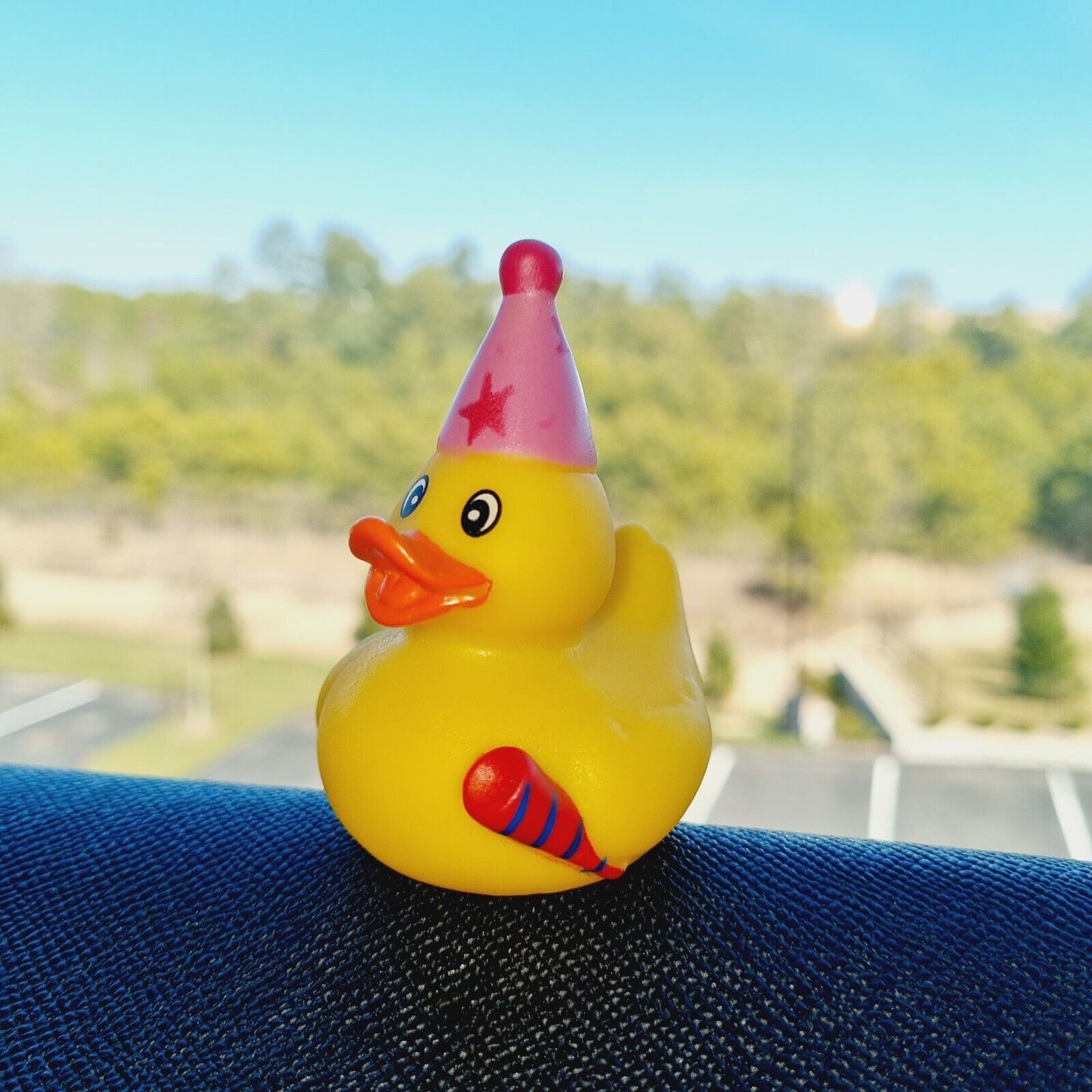 Party Rubber Duck