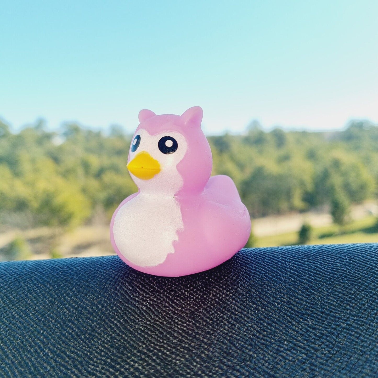 Pink Owl Rubber Duck / Car accessory /  Dashboard Toy Decoration / Jeep Ducking