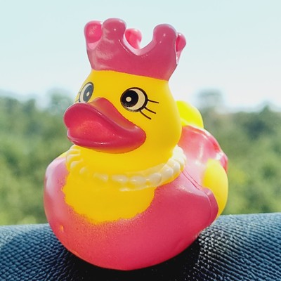 👸🐥 Princess Rubber Duck Jeep Ducking 🛻 Jeep Wrangler Accessory