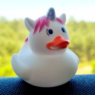 🦄🐥 Unicorn Rubber Duck Jeep Ducking 🛻 Jeep Wrangler Accessory