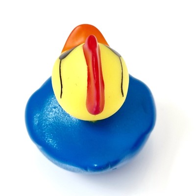 🕶🐥 Rooster Sunglasses Jeep Ducking 🛻 Jeep Wrangler Accessory