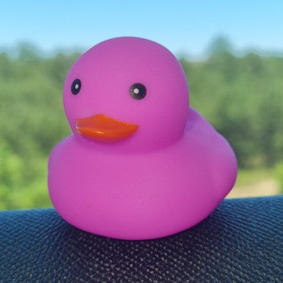 🐥🟣 Bright Purple Rubber Duck Jeep Ducking 🛻 Jeep Wrangler Accessory