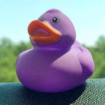 🟣🐥 Purple Rubber Duck Jeep Ducking 🛻 Jeep Wrangler Accessory