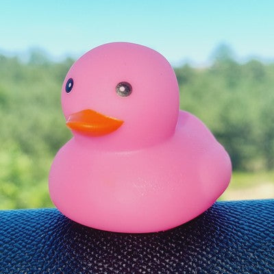 💖🐥 Bright Pink Rubber Duck Jeep Ducking 🛻 Jeep Wrangler Accessory
