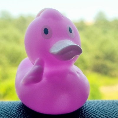 🟣🐥 Lavender Rubber Duck Jeep Ducking 🛻 Jeep Wrangler Accessory