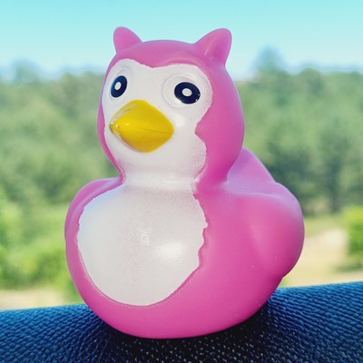 🐥🦉 Pink Owl Rubber Duck Jeep Ducking 🛻 Jeep Wrangler Accessory