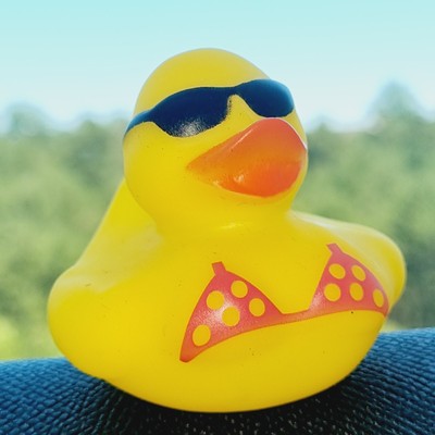 🐥⛱️ Cool Beach Babe Rubber Duck Jeep Ducking 🛻 Jeep Wrangler Accessory
