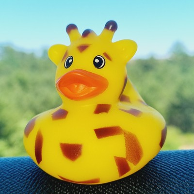 🦒🐥 Giraffe Rubber Duck Jeep Ducking 🛻 Jeep Wrangler Accessory