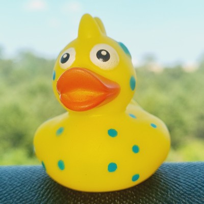 🦆🟡 Yellow Dinosaur Rubber Duck Jeep Ducking 🛻 Jeep Wrangler Accessory