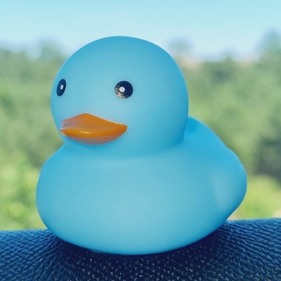 💙🐥 Light Blue Rubber Duck Jeep Ducking 🛻 Jeep Wrangler Accessory