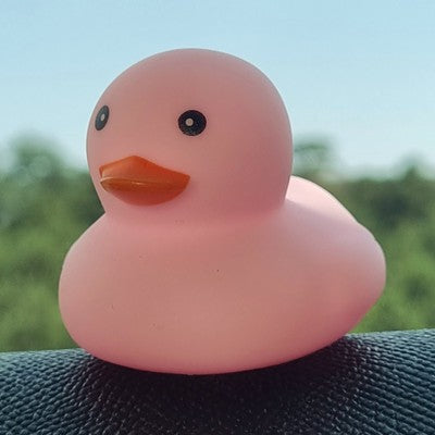 🐥🩷 Light Pink Rubber Duck Jeep Ducking 🛻 Jeep Wrangler Accessory